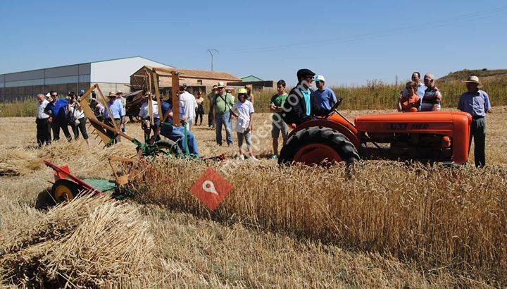 Siega Antigua de Nepas