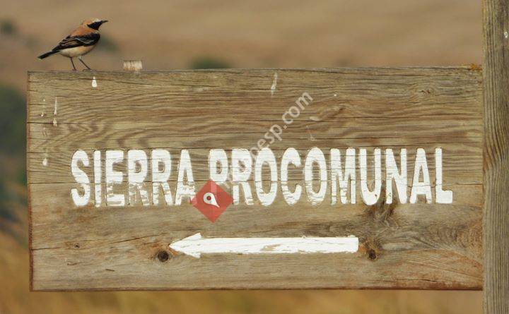 Sierra de Chinchilla