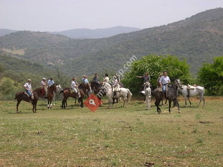 Sierra Morena de Sevilla