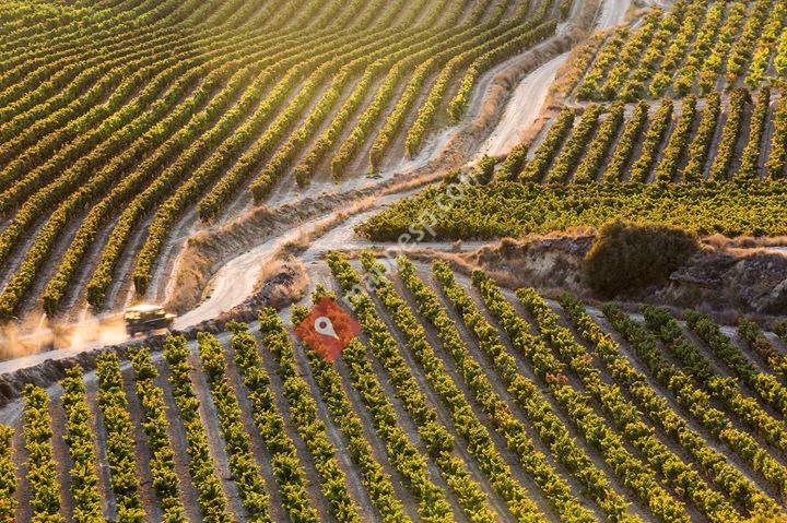 Solabal Bodega Y Viñedos