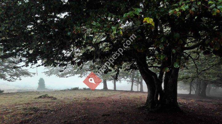 Soto De Valdeón, Castilla y León, Spain