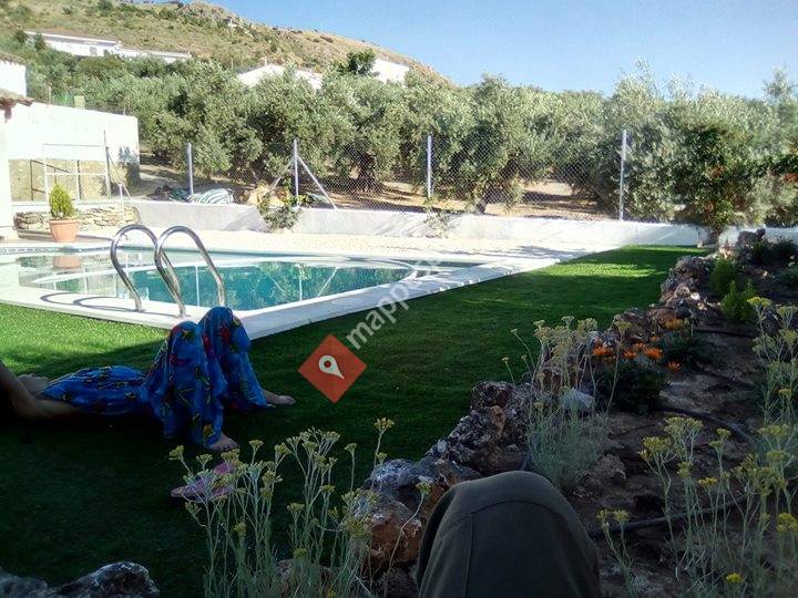 Southgarden Jardinería
