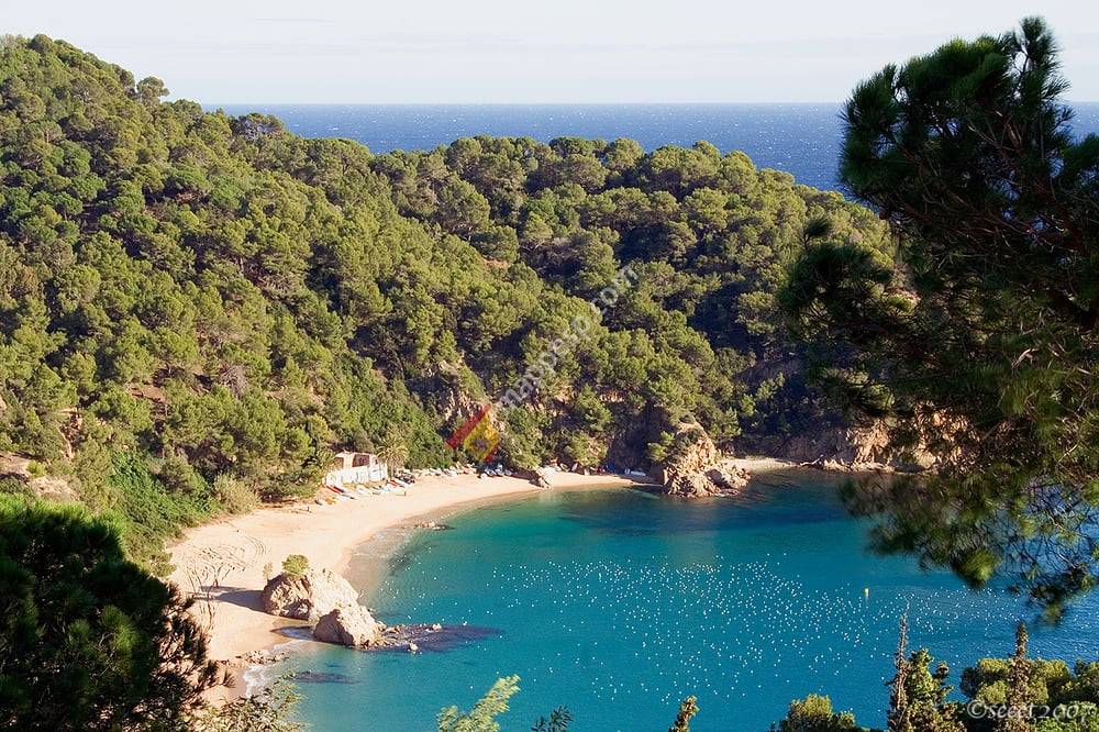 Strand Platja Canyelles