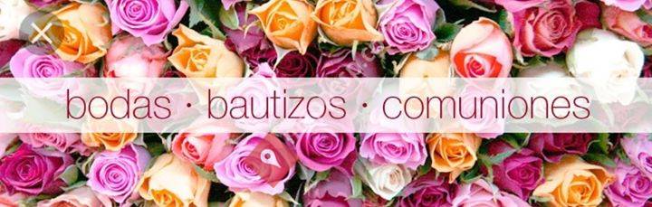 Studio De Belleza
