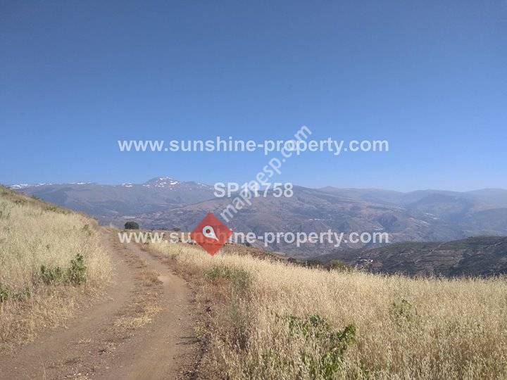 SUNSHINE PROPERTY