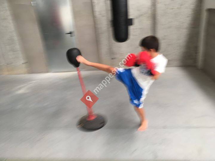 Tórtola Boxea