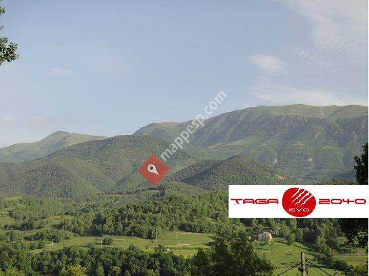 Taga 2040 Evo