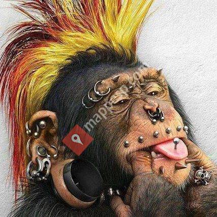 Tattoo Luna Body Piercing
