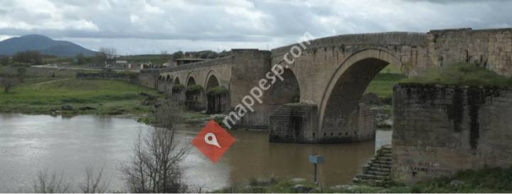 Taxis del Puente del Arzobispo