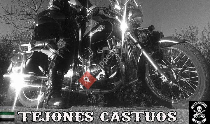 Tejones Castúos