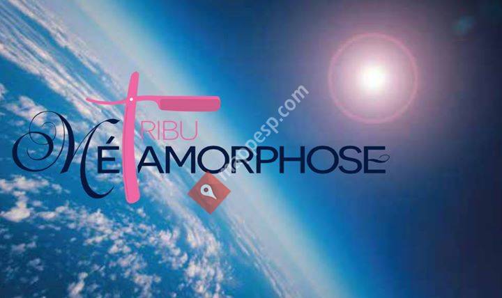 TRIBU Metamorphose
