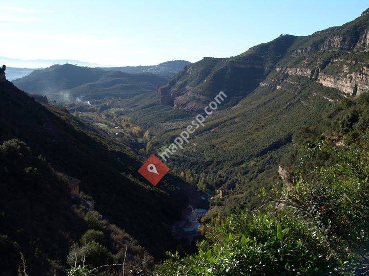 UEC DE LA VALL DEL TENES