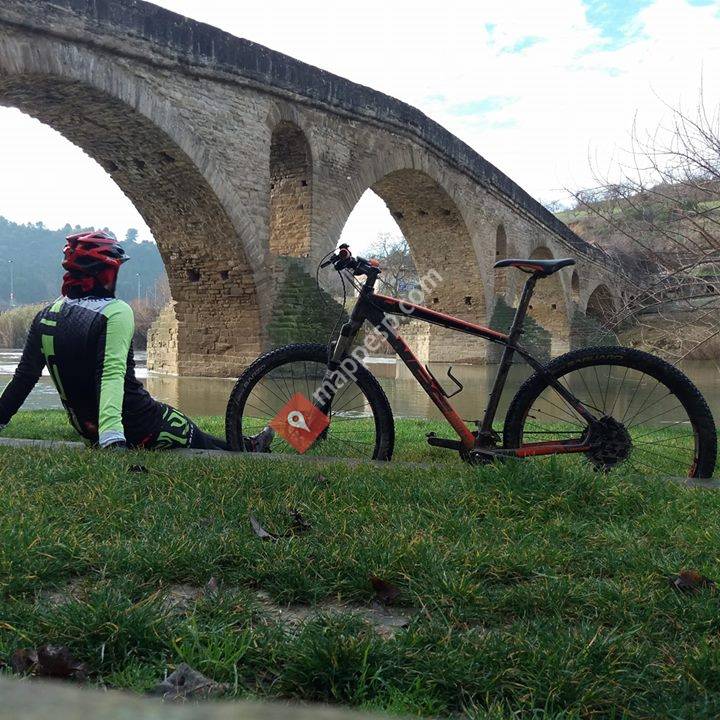 Un biker en solitario