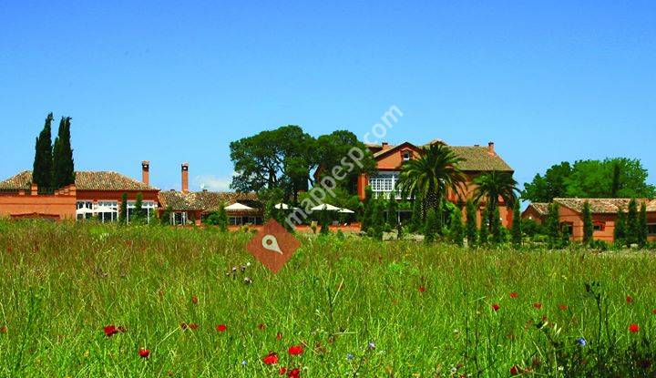 Valdepalacios Hotel *****