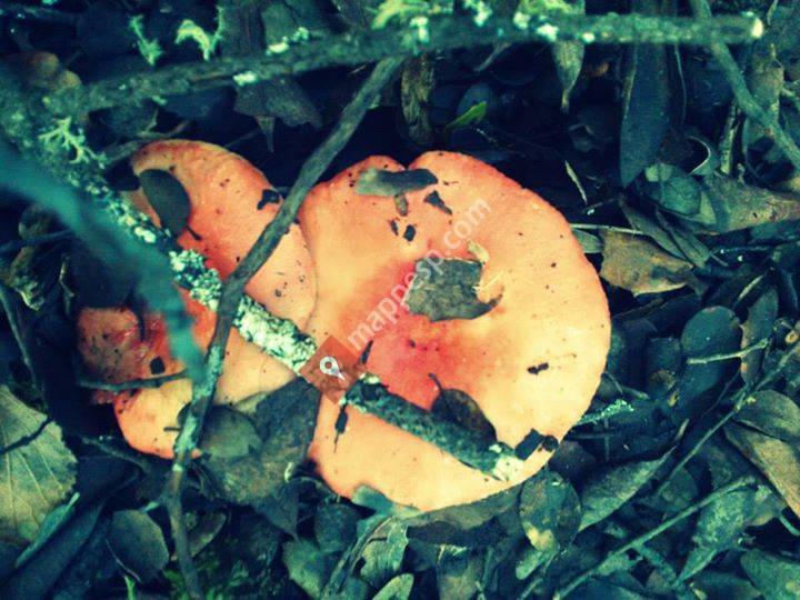 Valiña, Castilla y León, Spain