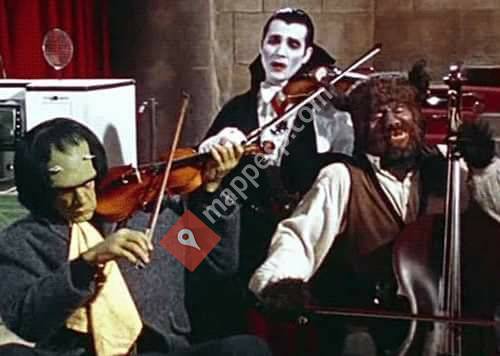 VDM Il Violinista di Merda