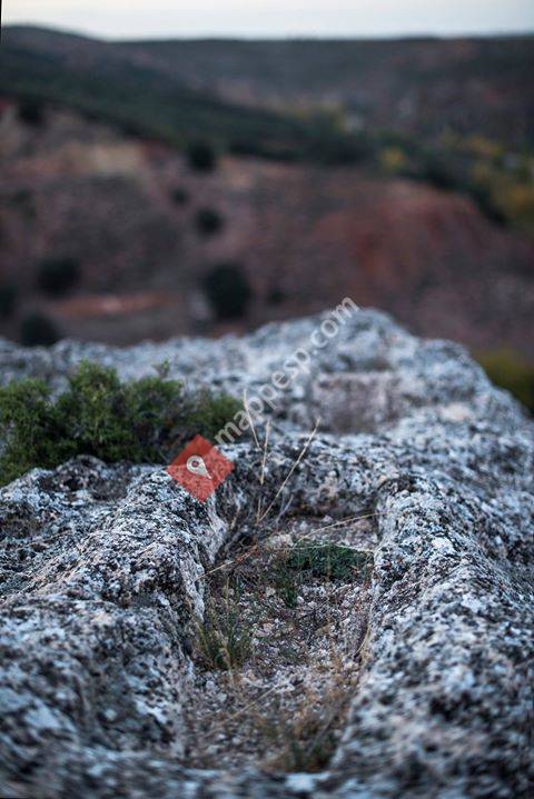 Velilla De Medinaceli, Castilla y León, Spain