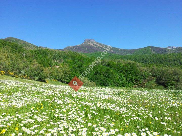 Venta Pepin