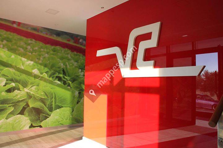 Verduras Curro