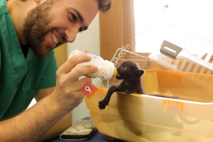 Veterinària el Papiol