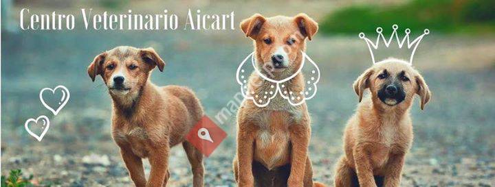 Veterinario AICART  Gilet