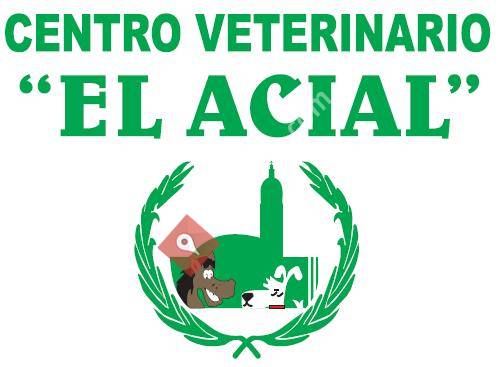 Veterinario 