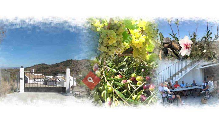 Viña & bodega REMSAMEN