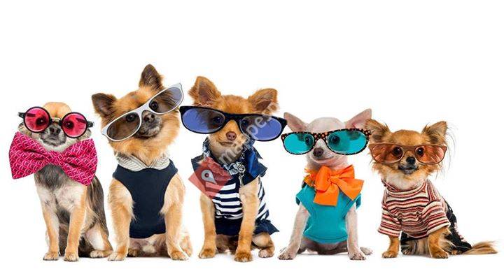 Vicen Deluxe PETS