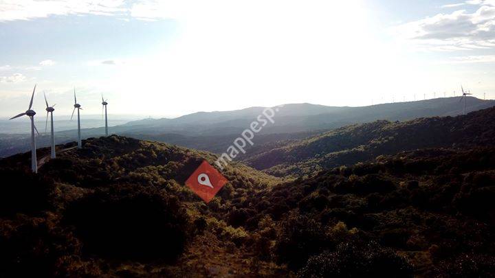 Villa de Lerga y Abaiz