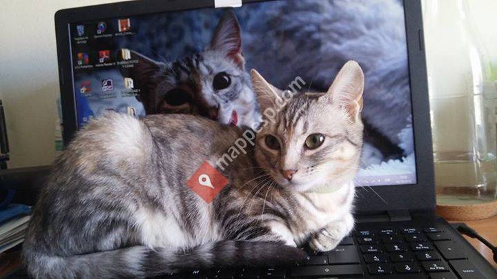 Villagallegos, Castilla y León, Spain