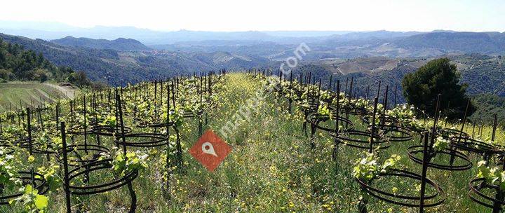 Vinologue