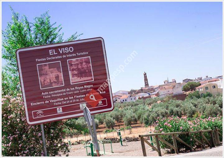Viseando