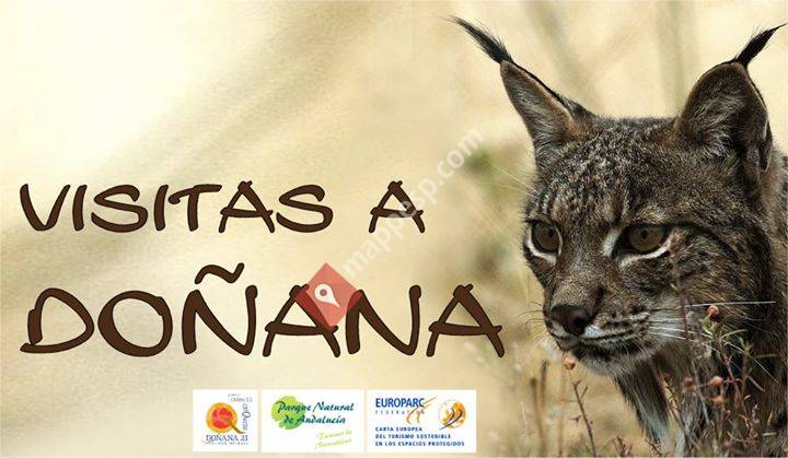 Visitas a Doñana