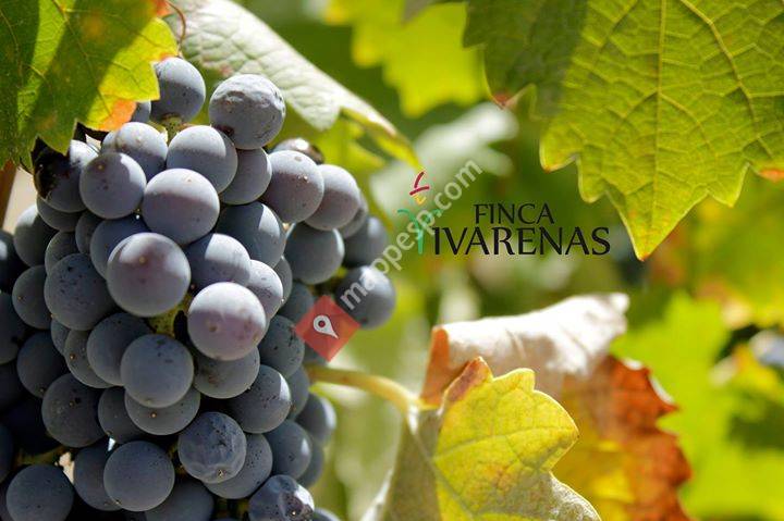 Vivarenas _ Agricultura Ecológica
