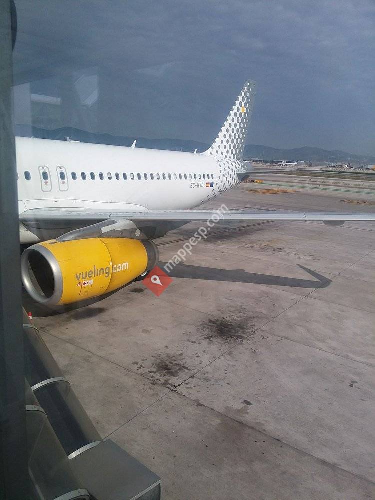 Vueling