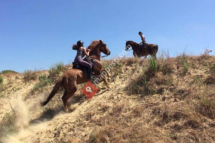 Xtreme Doñana - Horse Park