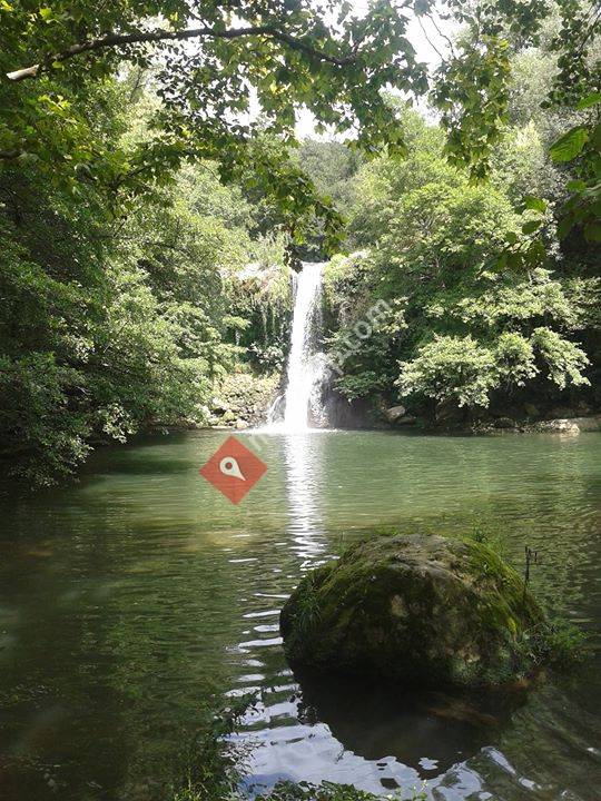 XTu Centre de Teràpies Naturals & Estètica
