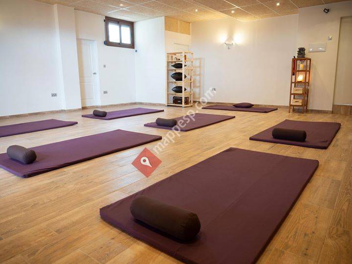 Yoga 'n' Sun