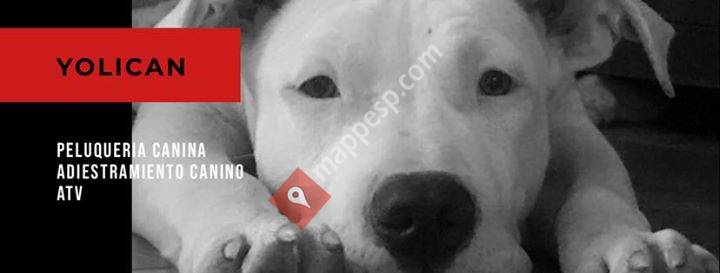 YoliCan peluquería canina