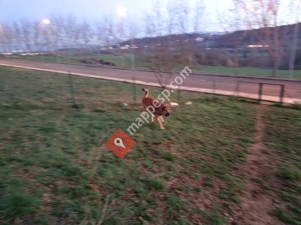 Zona de esparcimiento canino
