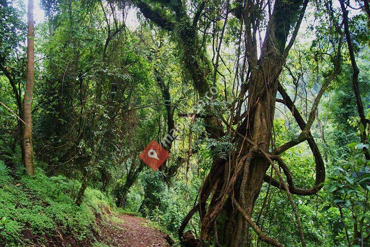 Zulema Revista de Educación Ambiental